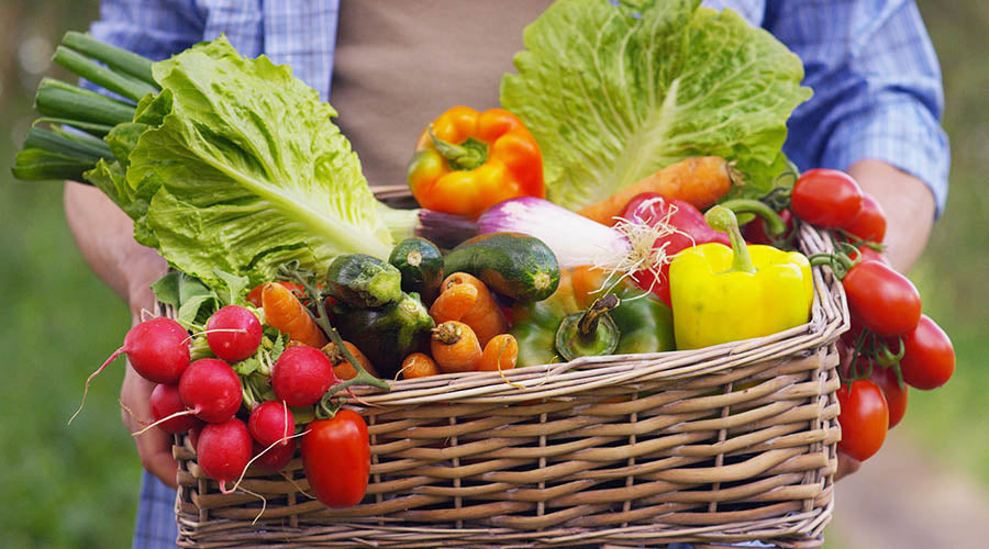 Paniers de Fruits et Légumes Bio -- Panier Duo