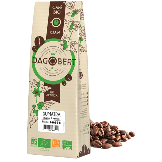 Les Cafés Dagobert -- Sumatra 100% arabica, bio et équitable - grains (origine Indonésie) - 1 kg